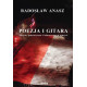 Poezja i gitara Motywy patriotyczne i historyczne w muzyce Radosław Anasz