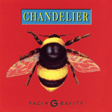 Chandelier – Facing Gravity