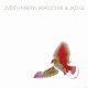Jazz Q – Zvěsti