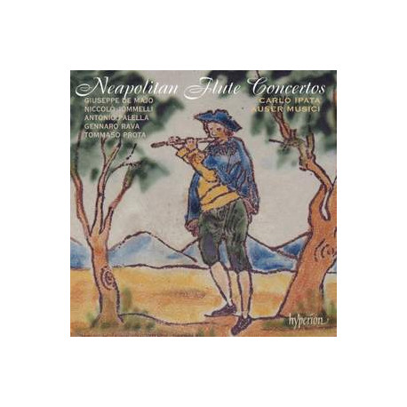 Neapolitan Flute Concertos, Vol. 1