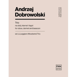 Andrzej Dobrowolski Trio