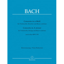 Concerto in a-Moll. J.S.Bach