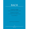 Concerto in a-Moll. J.S.Bach
